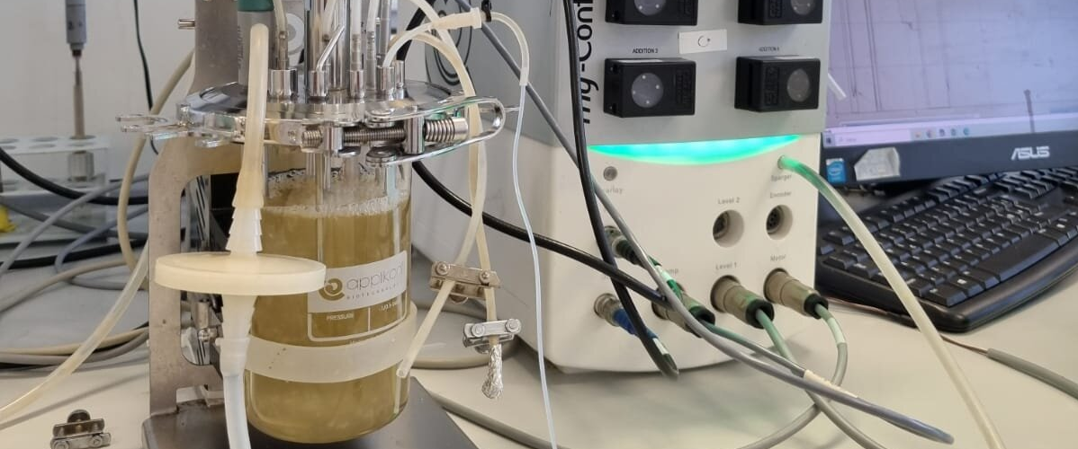 Bioraffinerie - Biorefineries